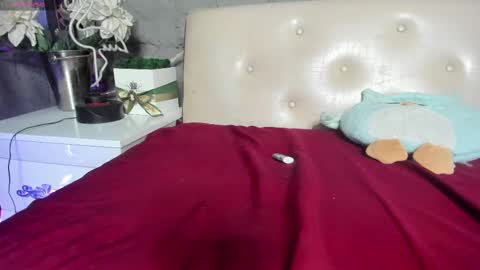 shygurl18hot online show from 02-25-25, 10:04