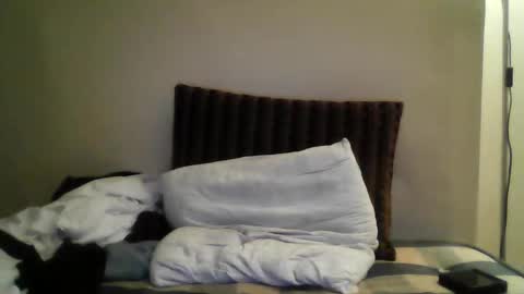 Snapshot of sia355 chatting on 12-26-24, 07:05 sia355 online show from 12-26-24, 07:05