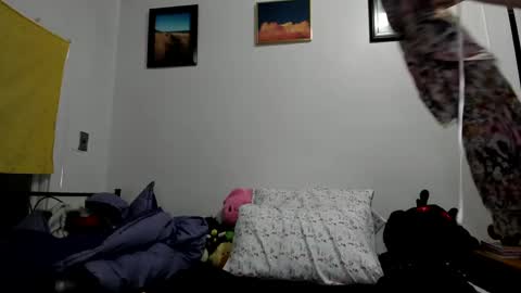 Snapshot of sierrasquirter chatting on 01-23-25, 04:41 Sierra online show from 01-23-25, 04:41