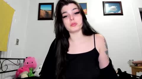 Snapshot of sierrasquirter chatting on 02-18-25, 05:09 Sierra online show from 02-18-25, 05:09