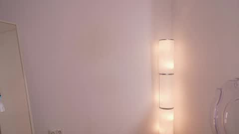 Snapshot of silent_chill chatting on 01-24-25, 02:51 Chilli online show from 01-24-25, 02:51