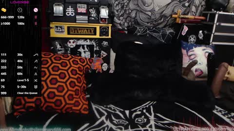 Allmylinkssilentmary666 online show from 12-28-24, 07:43