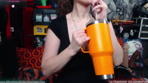 Allmylinkssilentmary666 online show from 01-21-25, 06:34