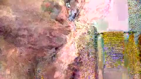 silversurfer1974 online show from 01-16-25, 11:04