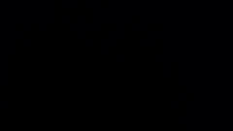 silvia_ls online show from 02-24-25, 12:30