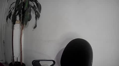Silvie online show from 12-02-24, 12:52