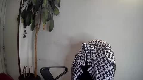 Silvie online show from 01-07-25, 03:46