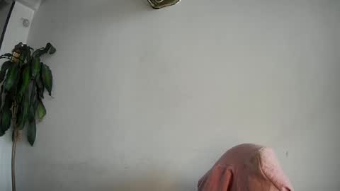 Silvie online show from 02-15-25, 07:50