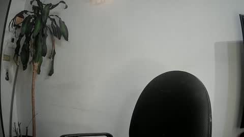 Silvie online show from 03-11-25, 11:26