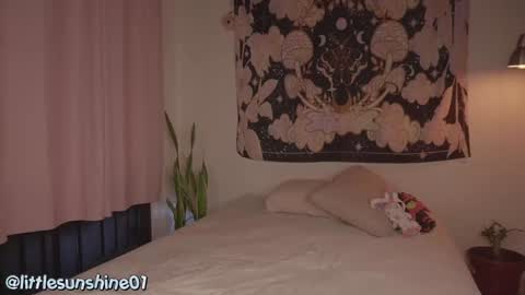 Little Sunshine online show from 12-09-24, 09:16