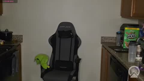 Husky Dad online show from 07-23-26, 02:53