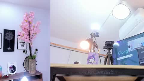 Siouxsie online show from 02-05-26, 11:37