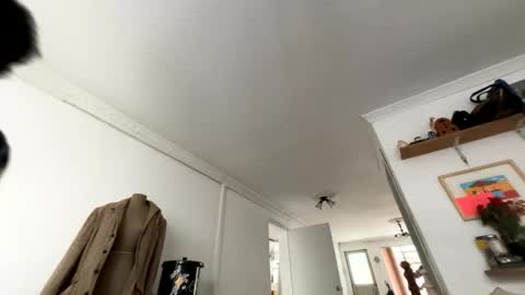 siriss_boyrag online show from 02-14-26, 02:14