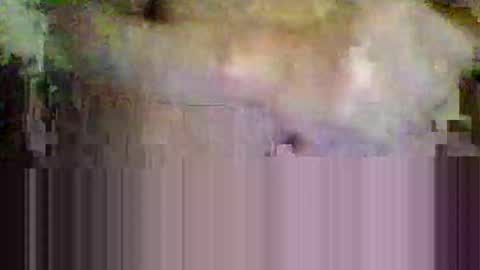 Snapshot of sisinyedz0000 chatting on 02-04-26, 05:41 sisinyedz0000 online show from 02-04-26, 05:41