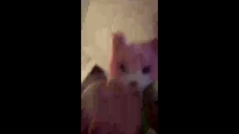 sissyboyinheels online show from 06-01-26, 01:35