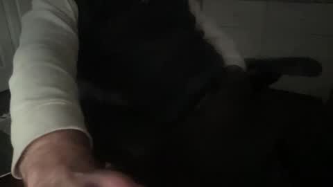 sissytraining2 online show from 02-18-25, 10:25