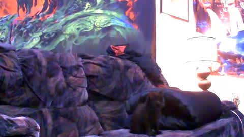 Snapshot of six_will_do chatting on 01-04-25, 05:05 Jimmy B online show from 01-04-25, 05:05