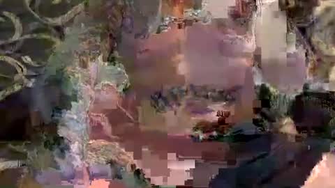 Steve   Jane online show from 02-21-26, 03:07