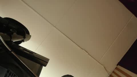 skarlettbarnes online show from 05-28-26, 11:40
