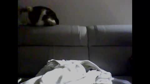 miguel online show from 12-02-24, 04:09