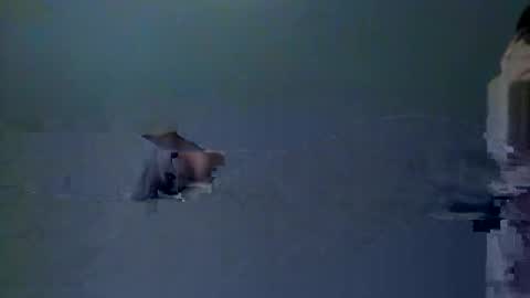 skeeter4fun73 online show from 12-20-25, 01:40