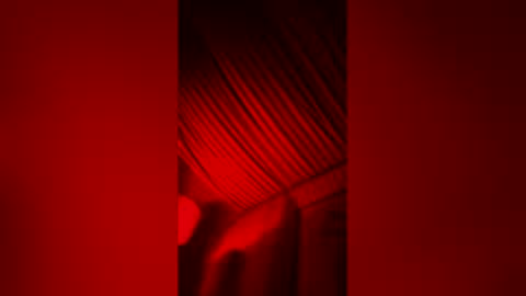 skindiana_bones online show from 02-08-26, 10:40