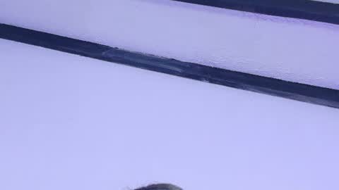 skinny_hottie18 online show from 06-27-26, 11:48