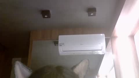 skinnykittencam online show from 02-23-26, 11:29