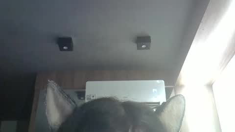 skinnykittencam online show from 04-09-26, 01:16