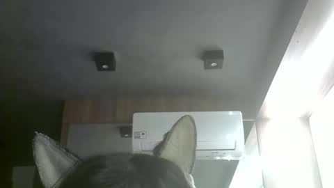 skinnykittencam online show from 05-10-26, 06:51