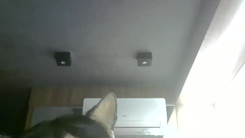 skinnykittencam online show from 05-28-26, 06:38