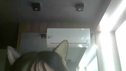 skinnykittencam online show from 06-03-26, 05:21