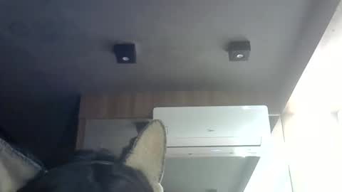 skinnykittencam online show from 06-08-26, 04:51