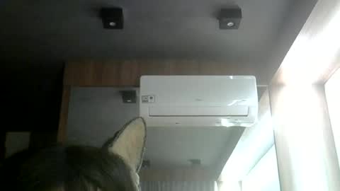 skinnykittencam online show from 06-12-26, 11:35