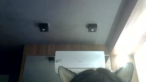 skinnykittencam online show from 06-19-26, 12:04