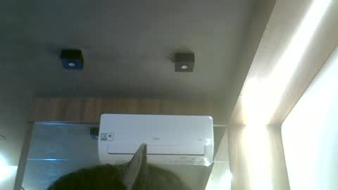 skinnykittencam online show from 06-19-26, 12:20