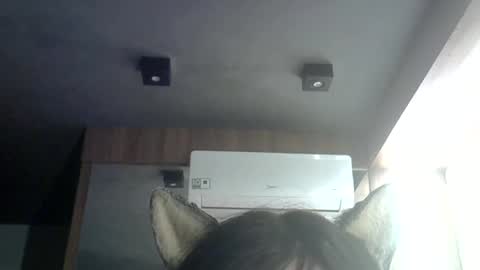 skinnykittencam online show from 06-25-26, 05:12