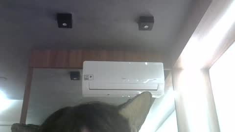skinnykittencam online show from 06-26-26, 12:59