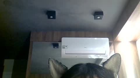 skinnykittencam online show from 06-29-26, 10:48