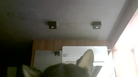 skinnykittencam online show from 06-30-26, 12:11