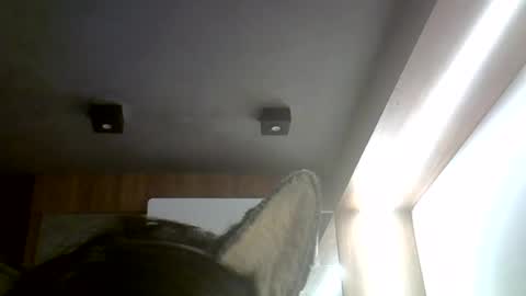 skinnykittencam online show from 07-04-26, 06:25