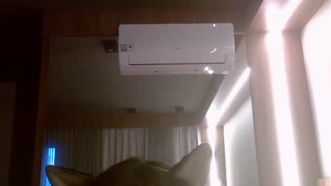 skinnykittencam online show from 07-07-26, 08:02