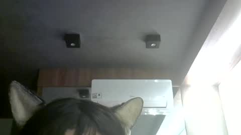 skinnykittencam online show from 07-08-26, 09:03