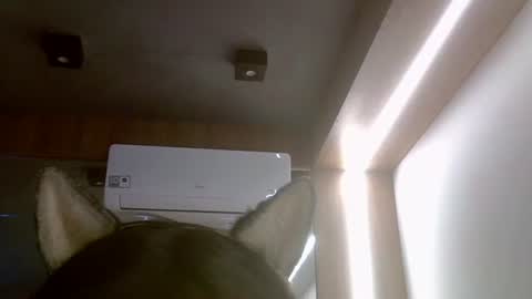 skinnykittencam online show from 07-16-26, 05:52