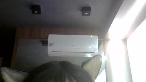 skinnykittencam online show from 07-24-26, 05:22