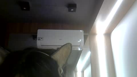 skinnykittencam online show from 07-26-26, 02:46