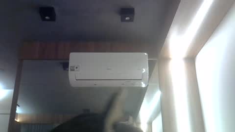 skinnykittencam online show from 07-28-26, 11:48