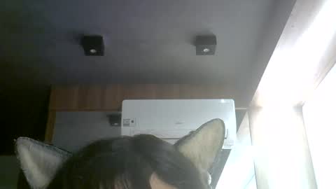 skinnykittencam online show from 08-02-26, 03:16