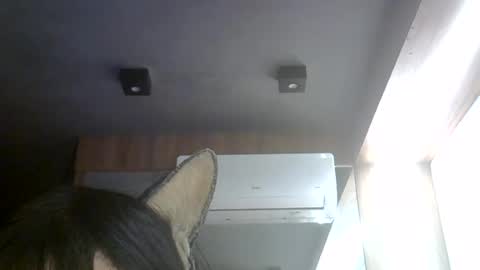 skinnykittencam online show from 08-02-26, 03:54