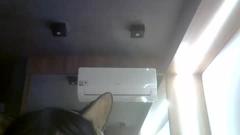 skinnykittencam online show from 08-03-26, 04:55